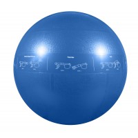 GoFit GF-55PRO Proball 55cm - Blue